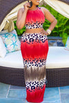 Colorful Leopard Striped Sleeveless Dress Set